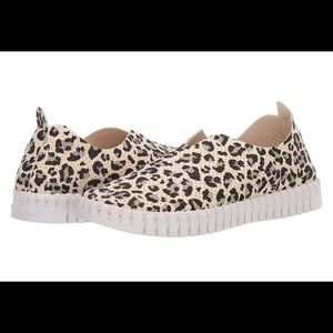 leopard shoes